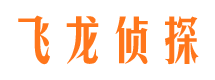 向阳市侦探调查公司